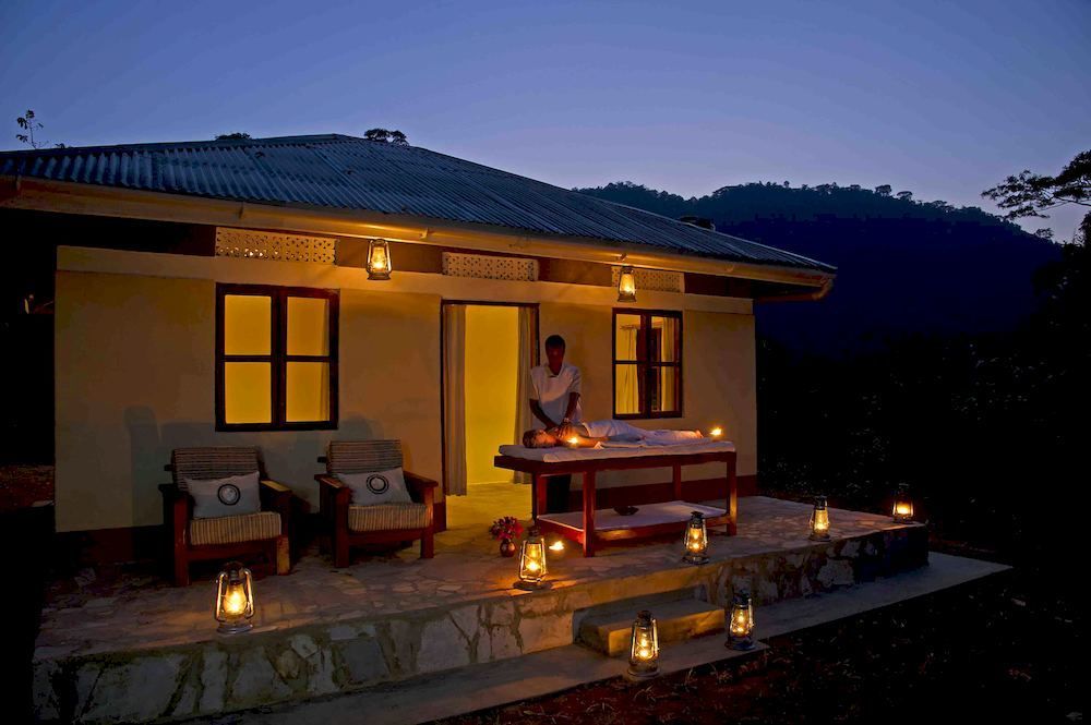 Sanctuary Gorilla Forest Camp Hotel Ntungamo  Bagian luar foto