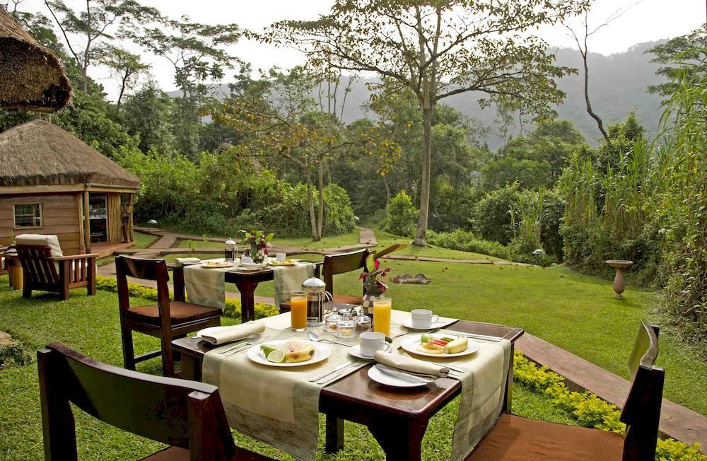 Sanctuary Gorilla Forest Camp Hotel Ntungamo  Bagian luar foto